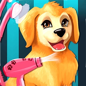 Become A Puppy Groomer unblocked online game
